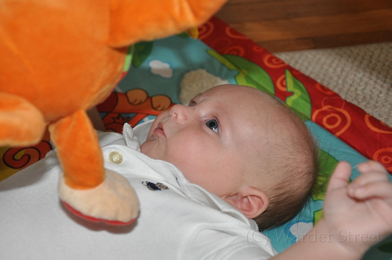 William's Tenth Week 28.jpg